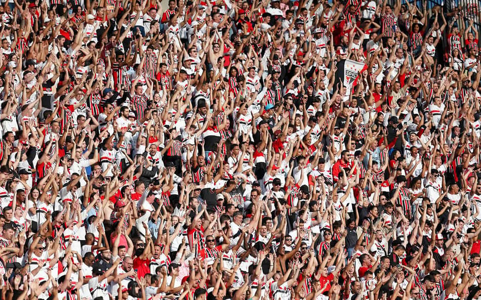 São Paulo já arrecadou mais de R$ 14 milhões em bilheteria no Campeonato Brasileiro