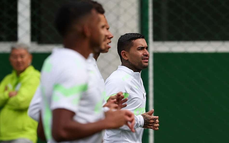 dudu_treino_palmeiras_29_julho_2023-aspect-ratio-512-320