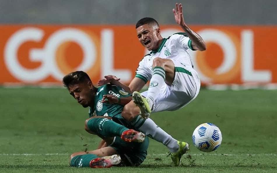 América-MG x Palmeiras: odds, estatísticas e informações do jogo pela 17ª rodada do Brasileirão