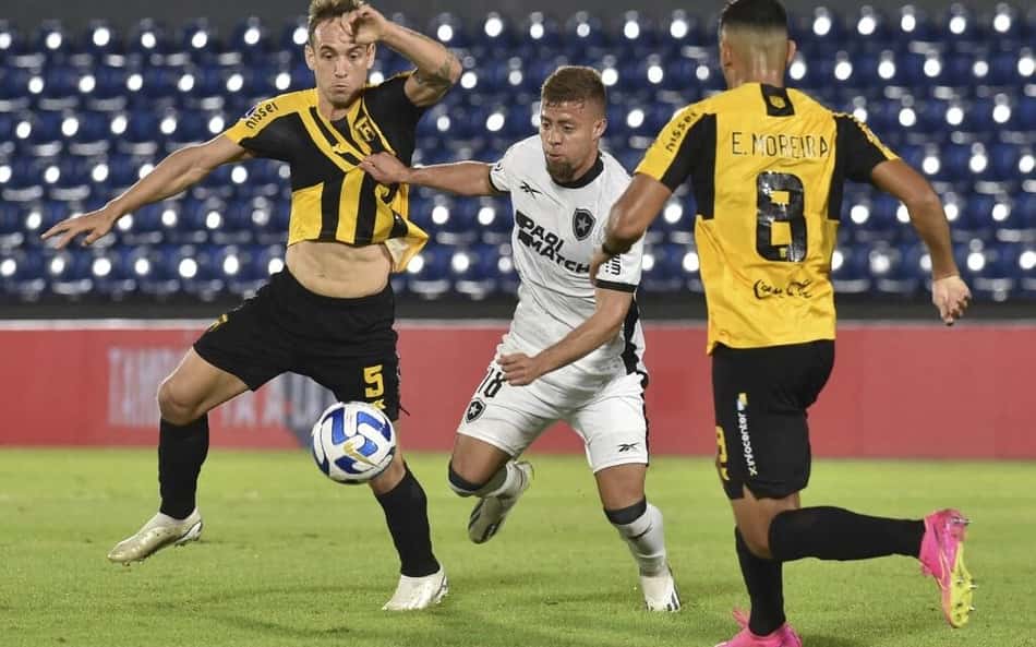 Botafogo embolsa R$ 2,9 milhões ao garantir vaga nas quartas de final da Sul-Americana