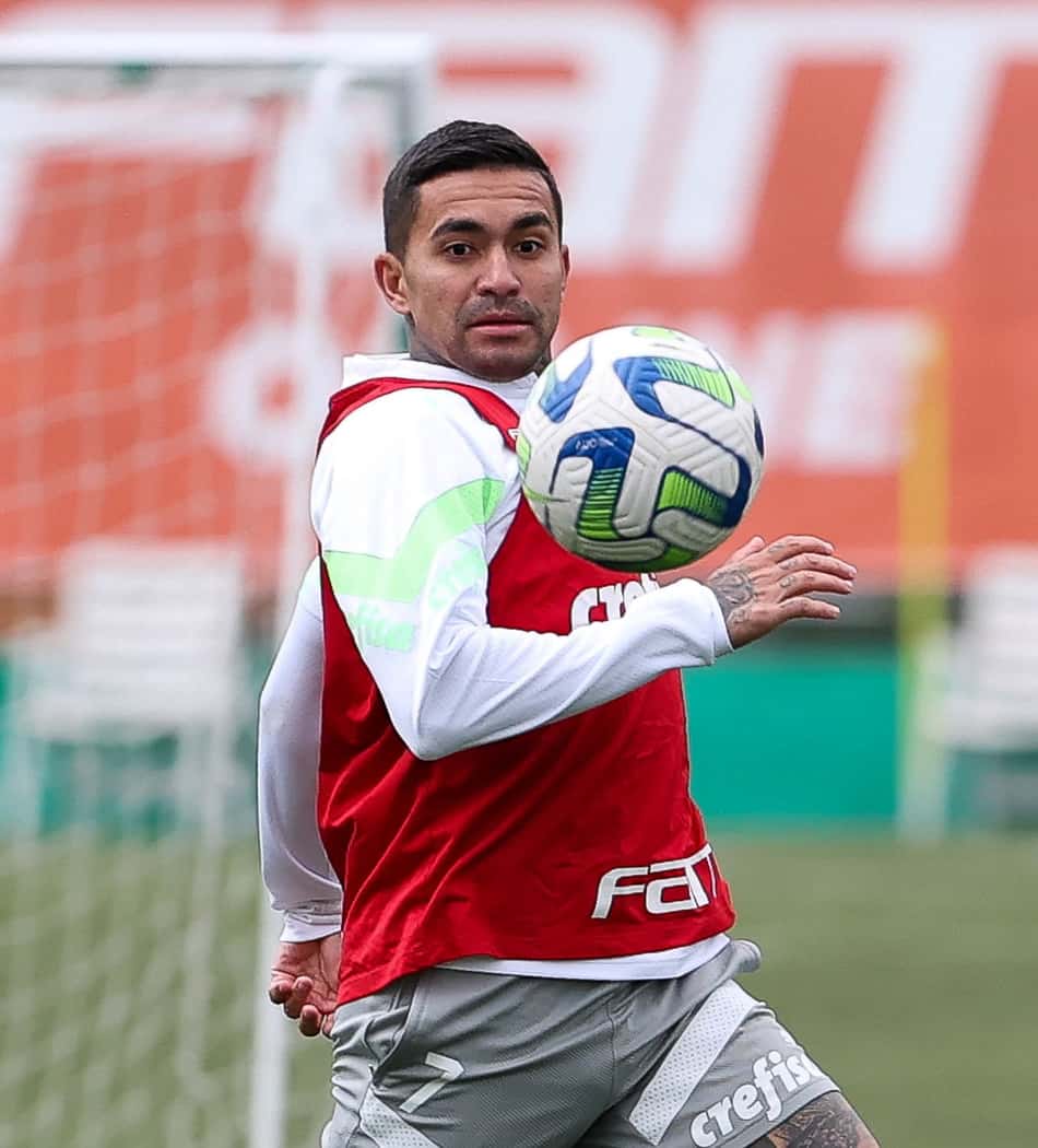 Dudu dudu Palmeiras