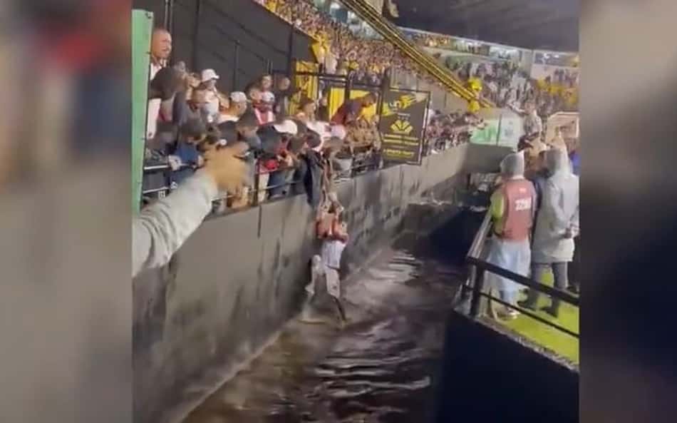 Torcedor do Vitória se joga em fosso do Estádio Heriberto Hülse do Criciúma; veja