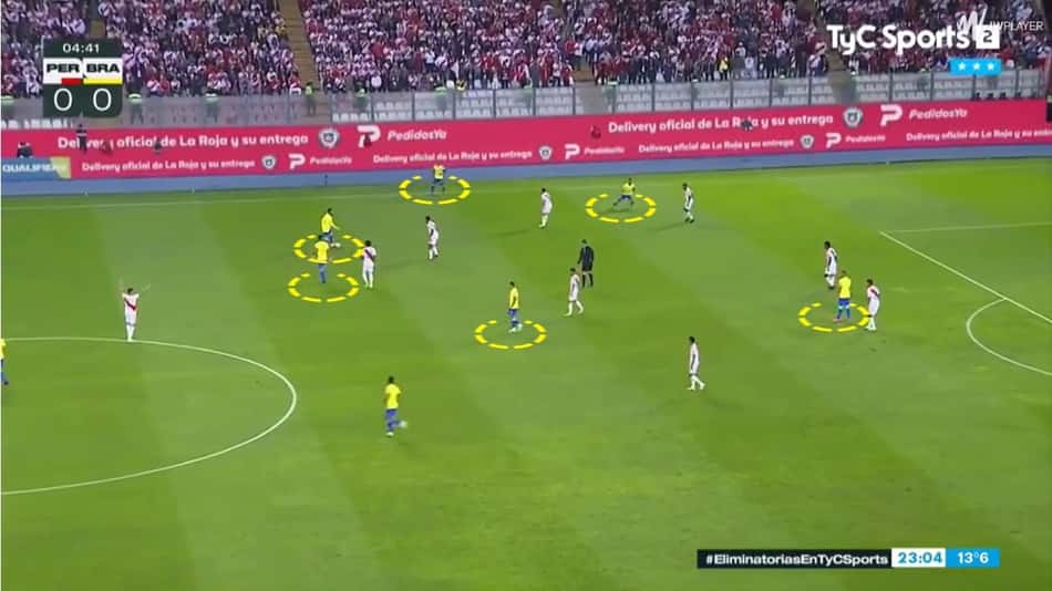 Seleção Brasileira – Fernando Diniz (1)