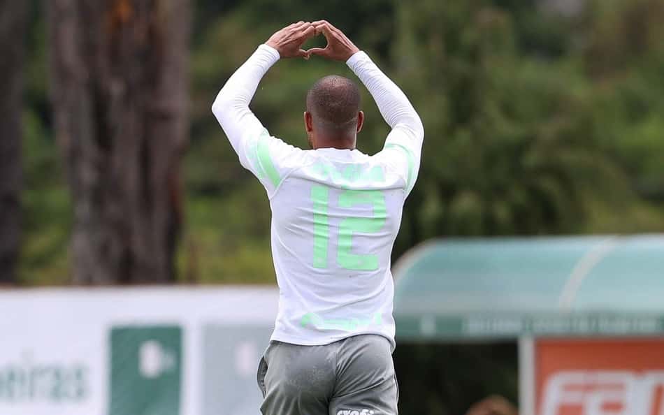 11012024_cg_palmeiras_destaque_9890_3-aspect-ratio-512-320