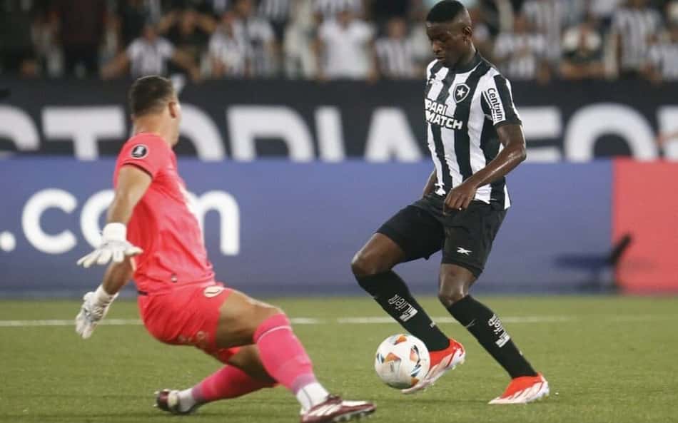 Torcedores do Botafogo enlouquecem com golaço de Luiz Henrique na Libertadores