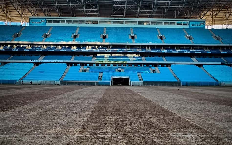 Arena do Grêmio começa limpeza após enchente e encontra peixe; confira as imagens