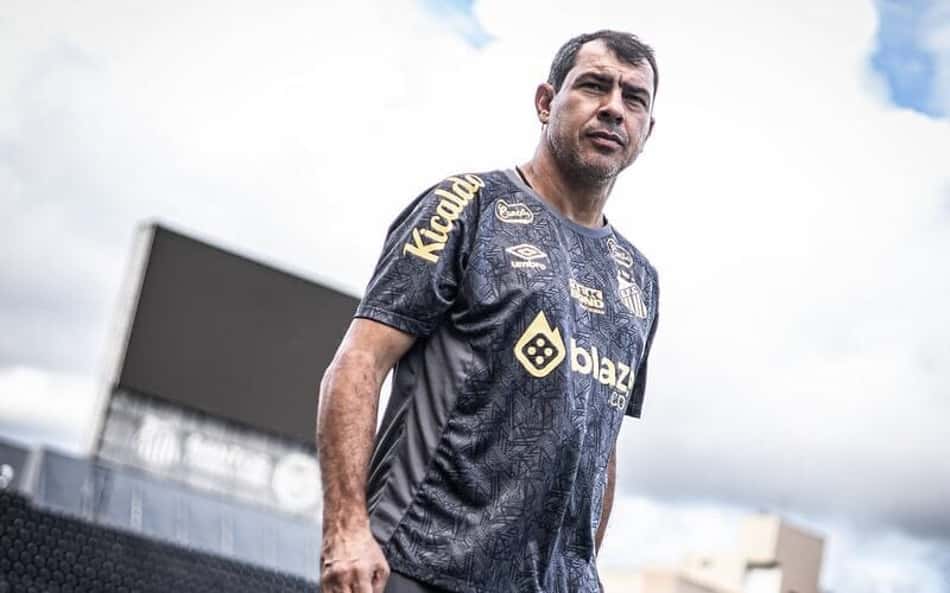 Carille admite erro de planejamento do Santos para Série B do Brasileirão