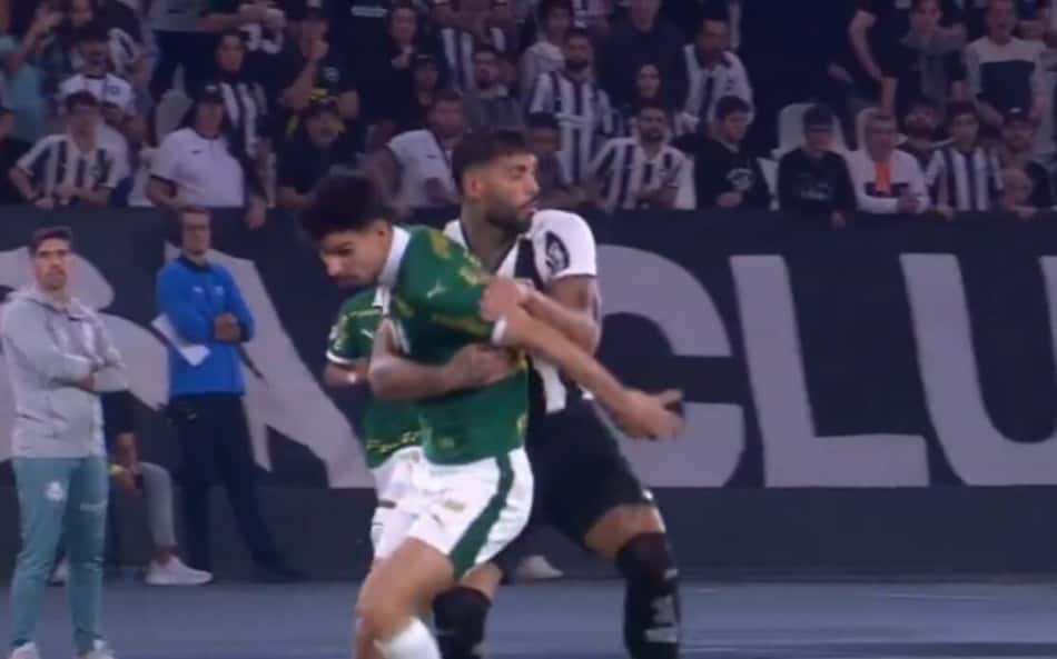 Torcedores do Palmeiras detonam decisão de Daronco em jogo contra o Botafogo: 'Pipocou'
