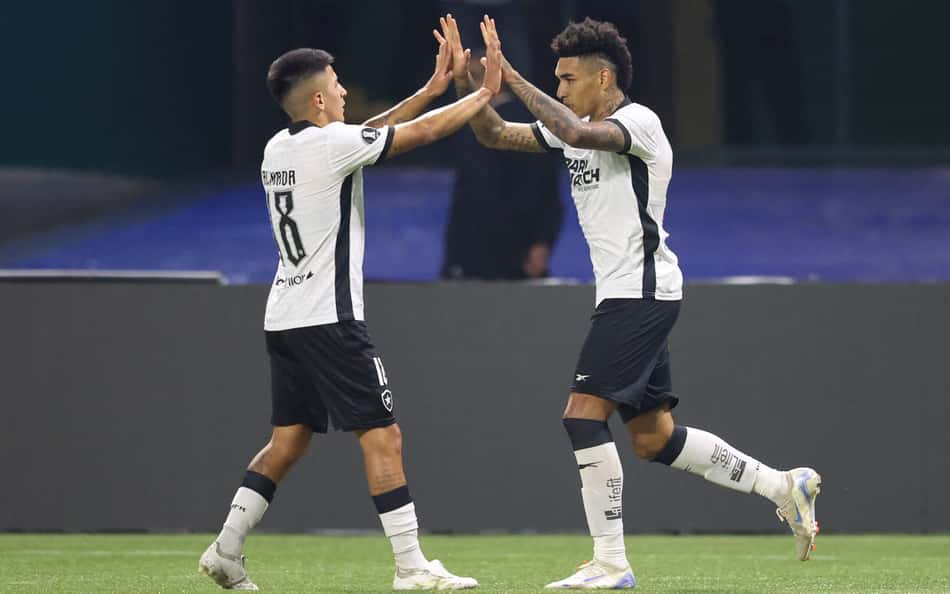 Web reage à classificação do Botafogo na Libertadores: 'Pintou o campeão'