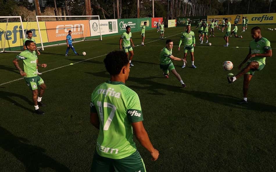 DM, 'força máxima' e organizada: como o Palmeiras chega para decisão contra o Botafogo