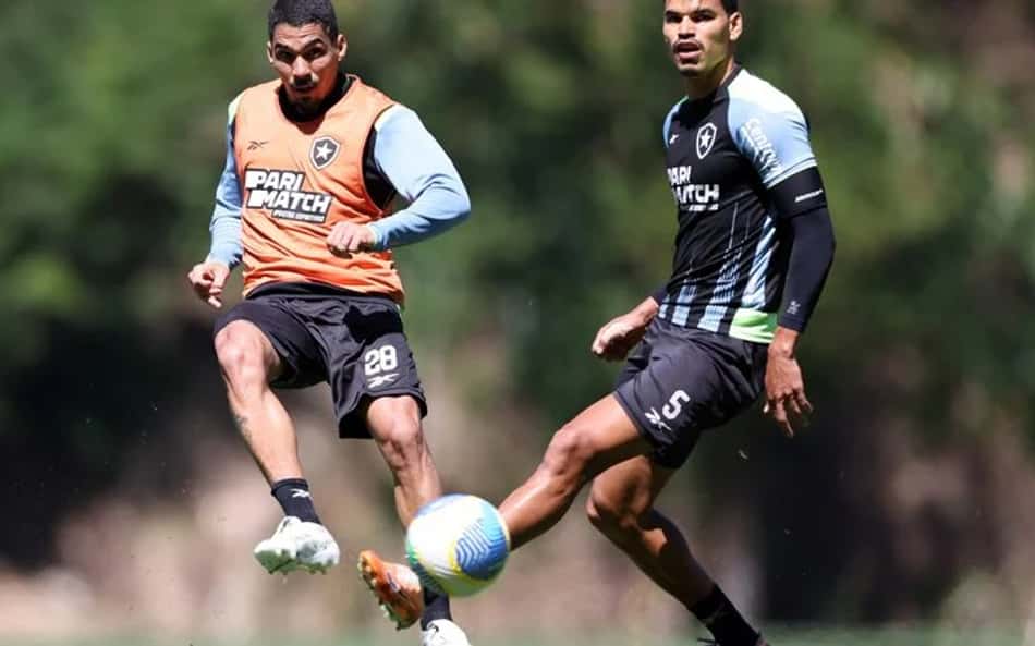 Botafogo poderá contar com reforço importante para partida contra o Fortaleza