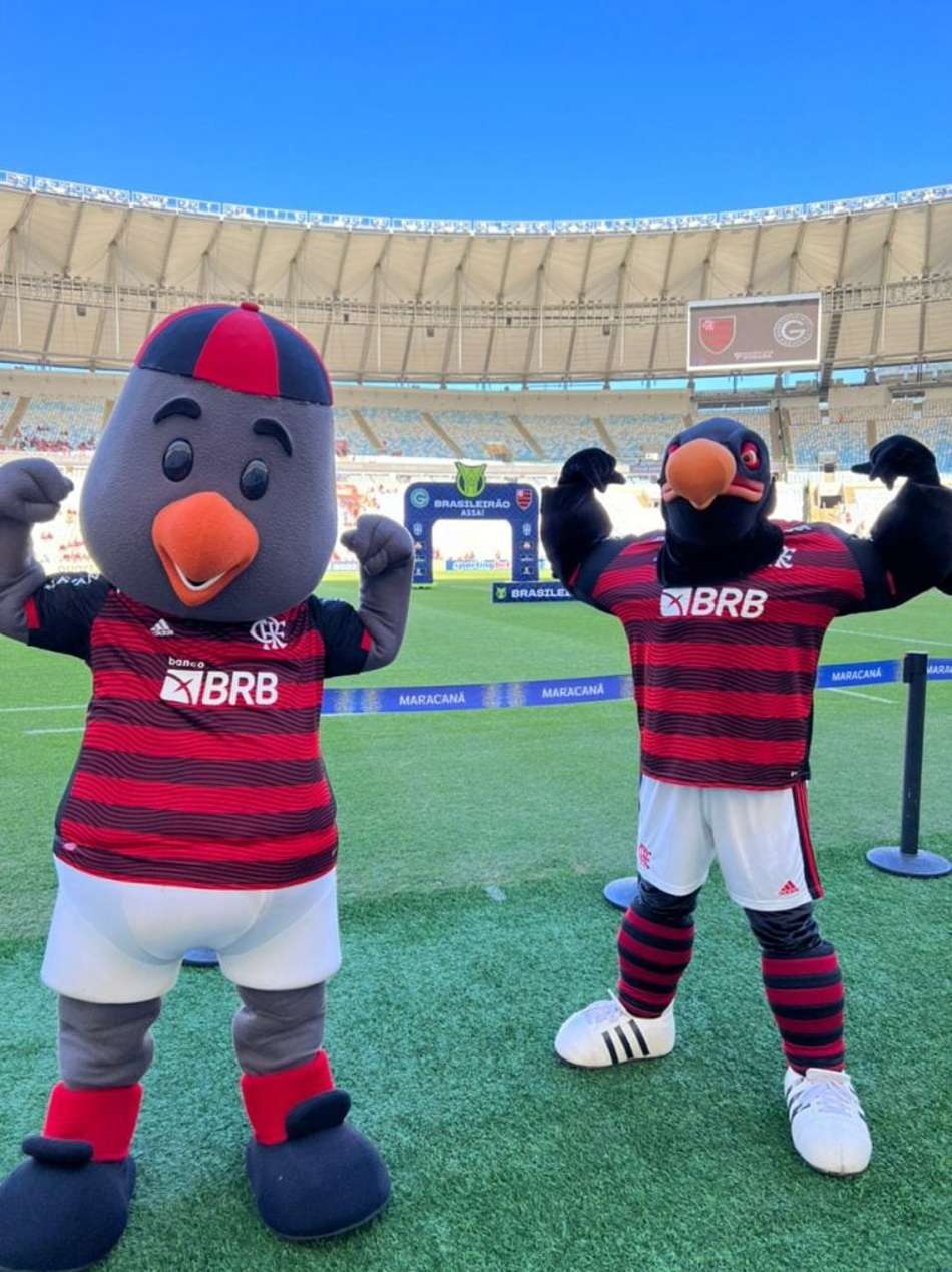 Atualmente, os mascotes do Flamengo são Binho (à esquerda) e Urubão (à direita) (Foto: Reprodução/ Acervo Flamengo)