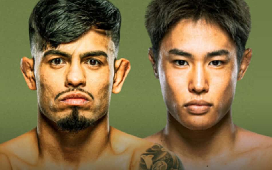UFC Fight Night: veja cards, horário e onde assistir