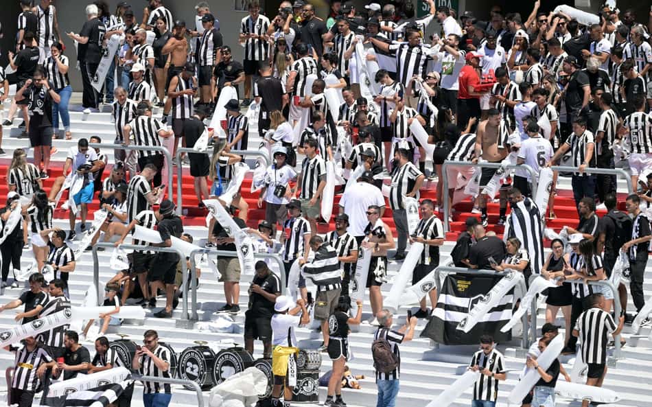 Torcedor do Botafogo enlouquece seguranças da final da Libertadores; veja