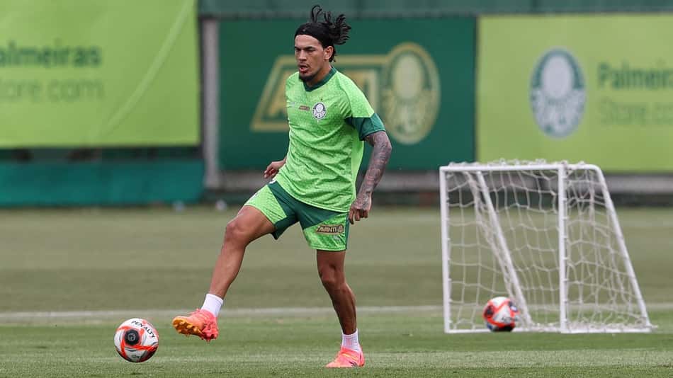 gustavo gomez