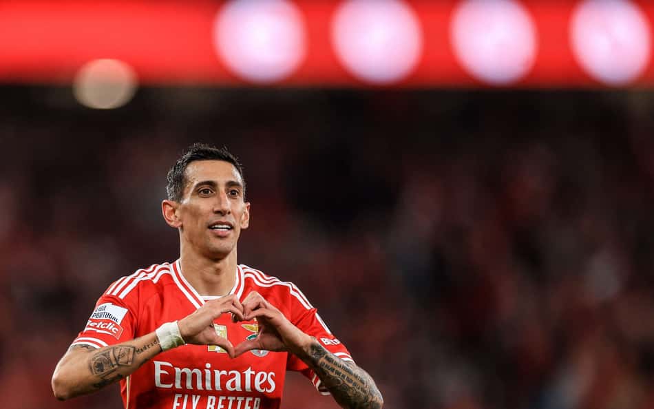 Santa Clara x Benfica: onde assistir, horário e escalações do jogo pelo Campeonato Português