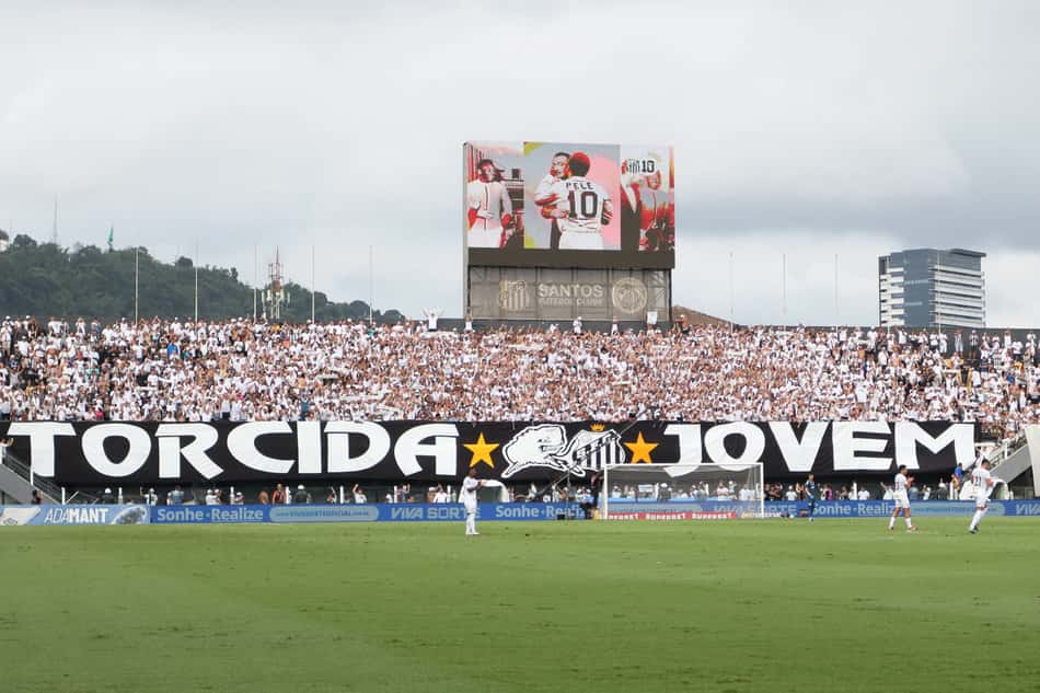 O Santos lidera o Grupo B do Campeonato Paulista e luta pela classificação para as quartas de final (Foto: Reinaldo Campos/AGIF)