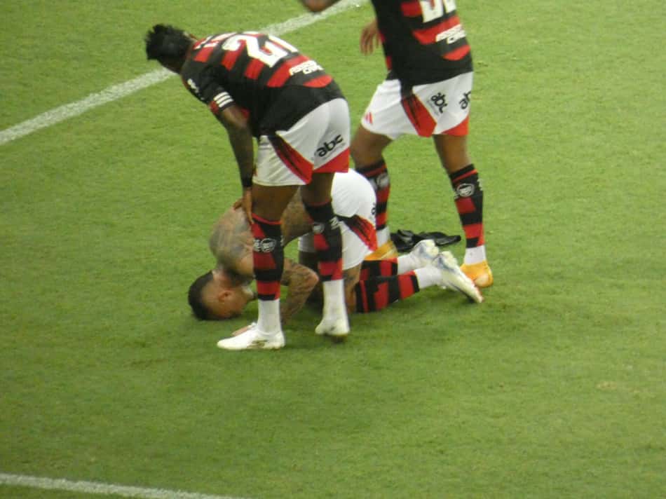 coemoração cebolinha
