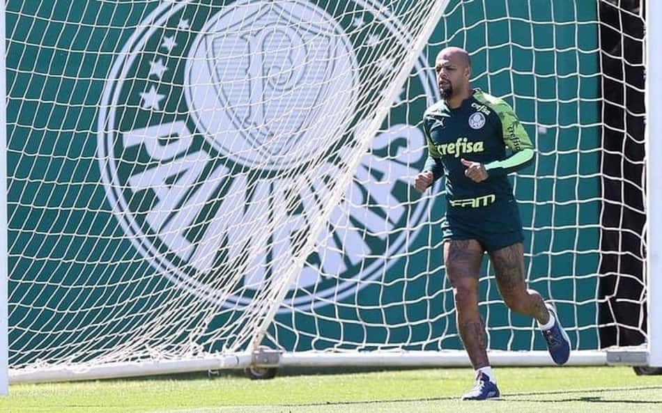Ex-Palmeiras se diz contrário a gramado sintético e cita Allianz: 'Tendões gritando'