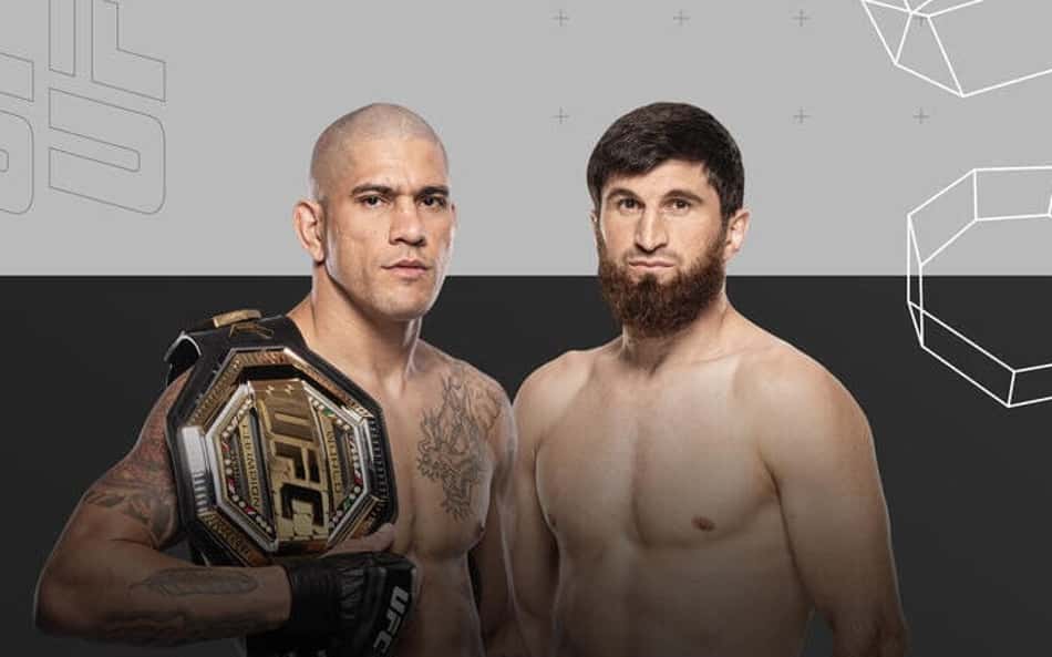 Poatan x Ankalaev: confira card, onde assistir e horário do UFC 313
