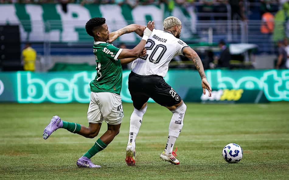 Botafogo mantém escrita contra o Palmeiras; confira os detalhes