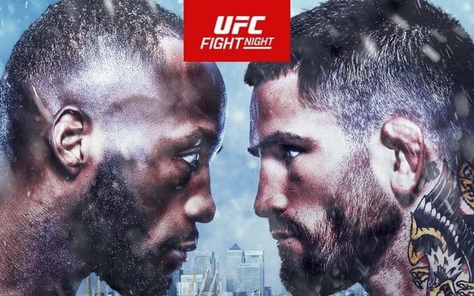 UFC Londres: Conheça os brasileiros confirmados no card