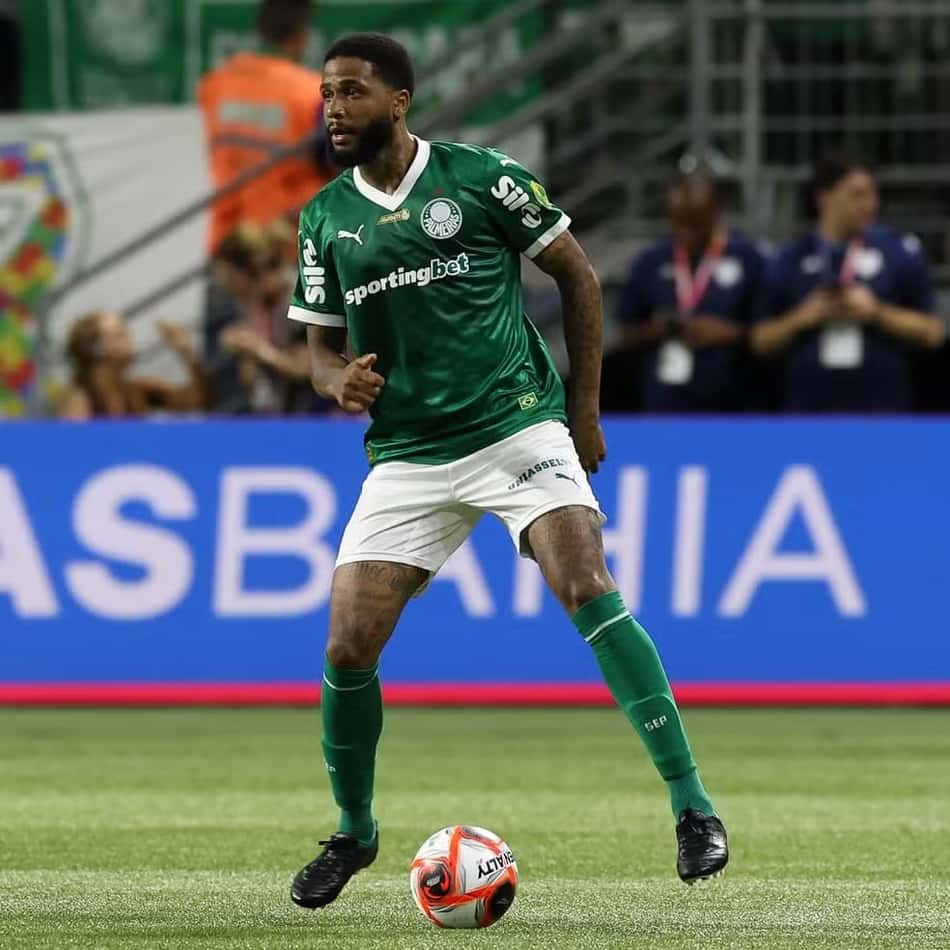 Micael Palmeiras