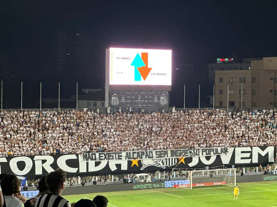 Torcida Jovem protesta durante jogo do Santos com a faixa "Não existe alçapão sem ingresso popular" (Foto: Juliana Yamaoka)