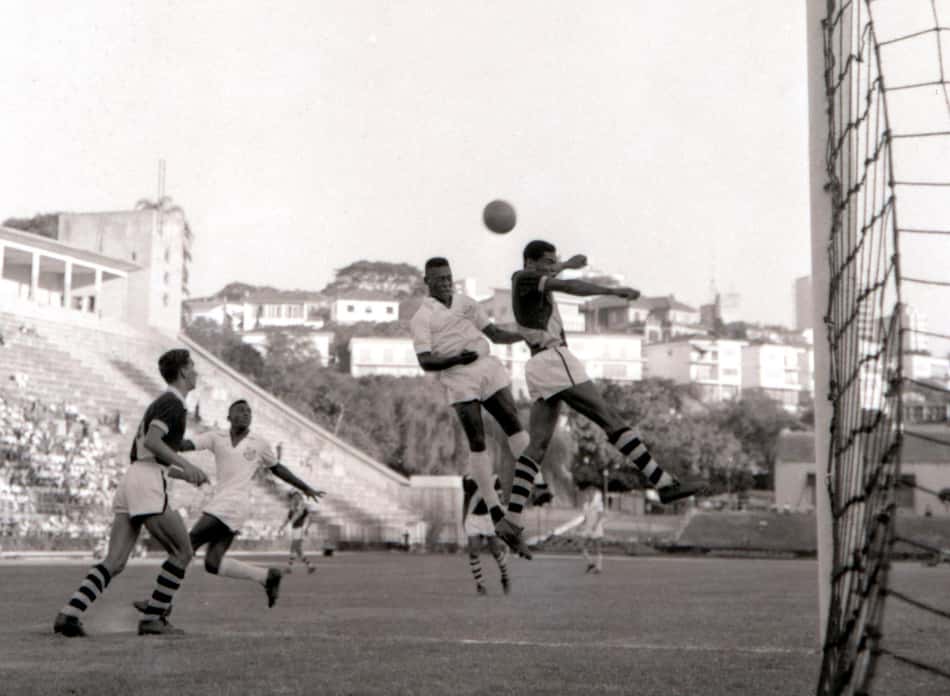 pele144301
