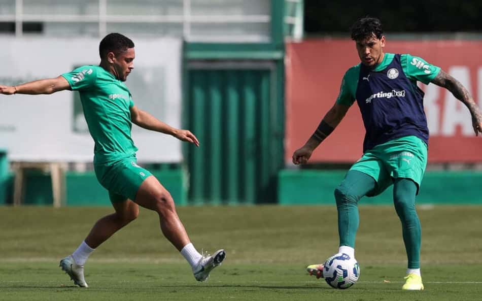 Palmeiras segue preparação e busca topo do Brasileirão em meio à sequência de vitórias