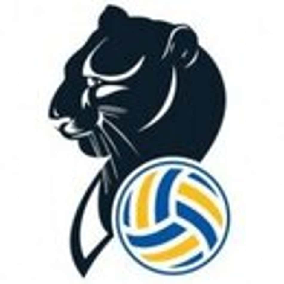 222069_logo_20210210165519_conegliano