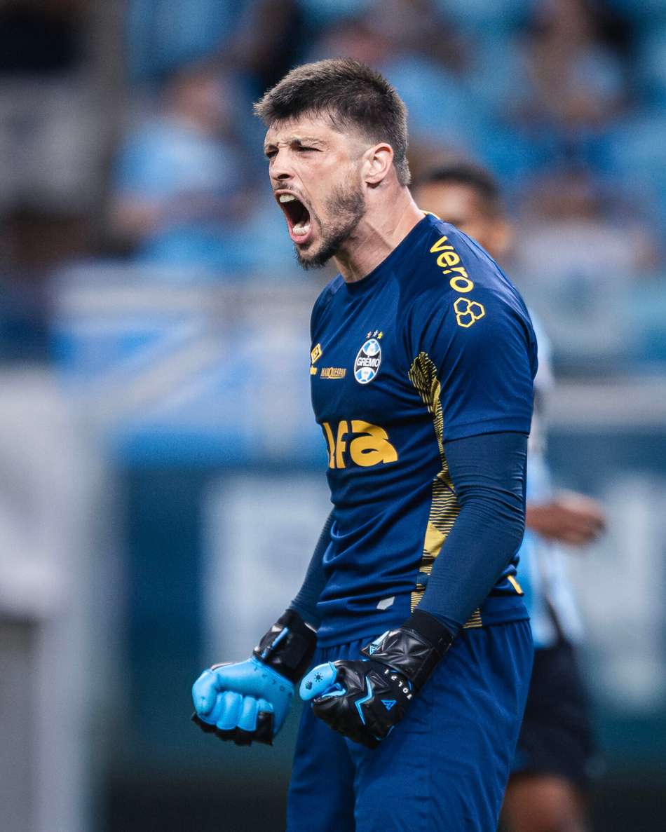 Volpi