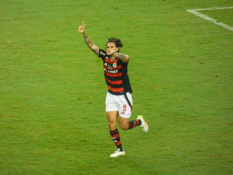 Pedro Flamengo Juventude