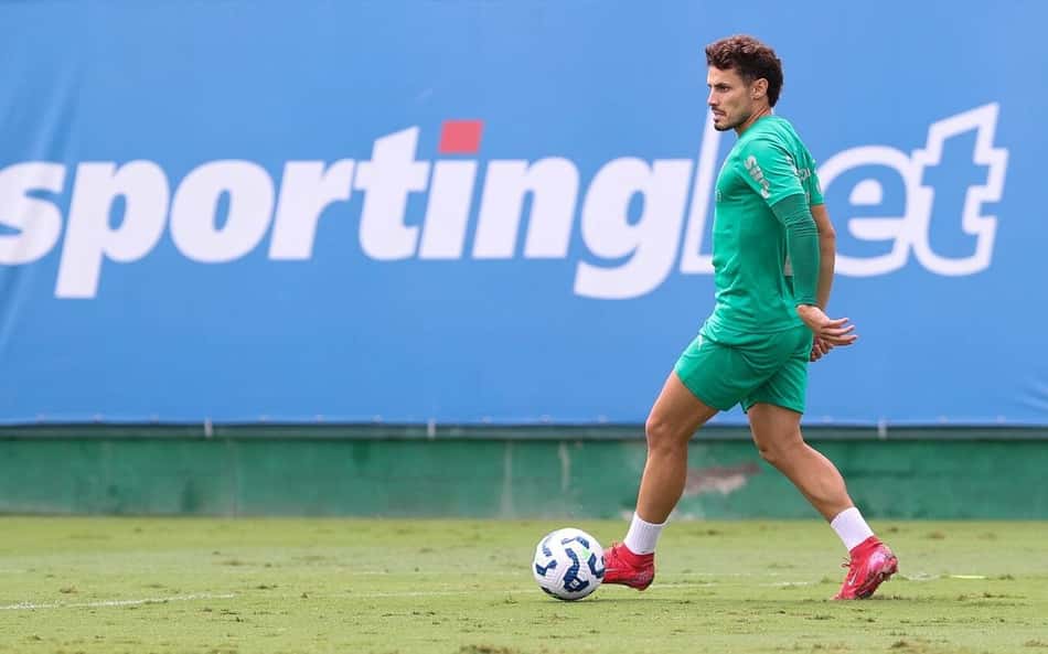 Palmeiras encerra preparação para enfrentar o Sport; Marcos Rocha inicia transição física