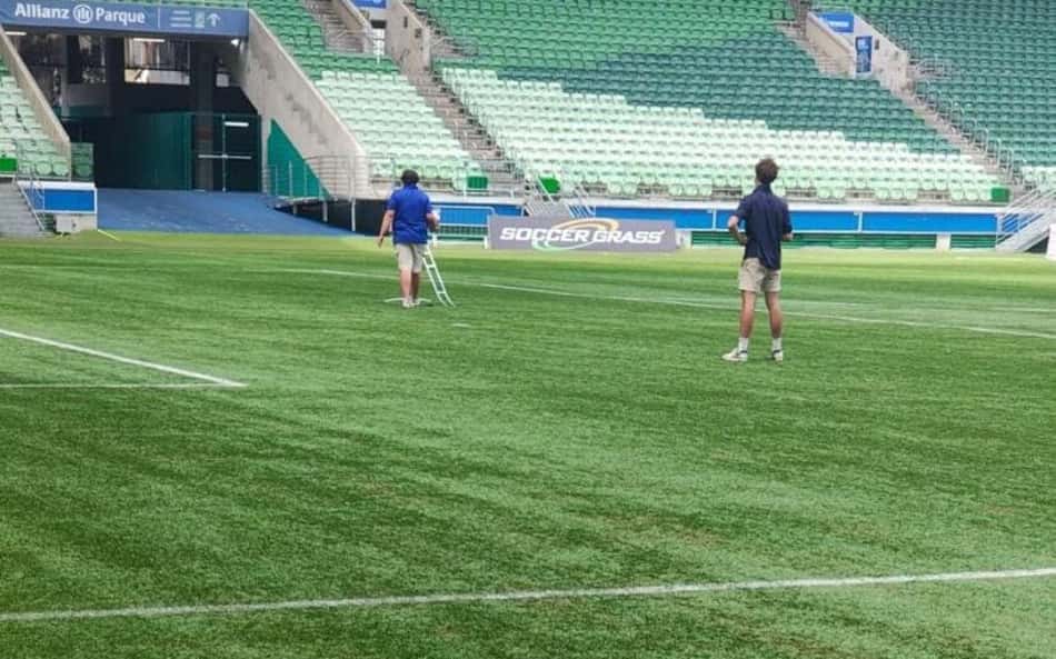 Fifa aprova gramado sintético do Palmeiras após vistoria