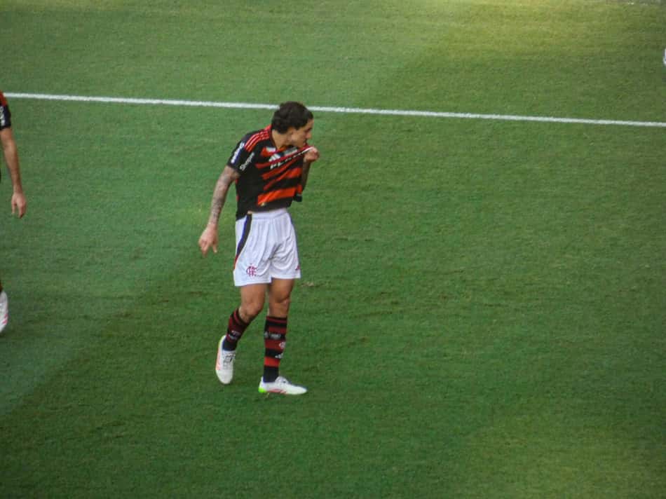 Pedro comemora gol do Flamengo contra o Corinthians (Foto: Lucas Bayer/Lance!)