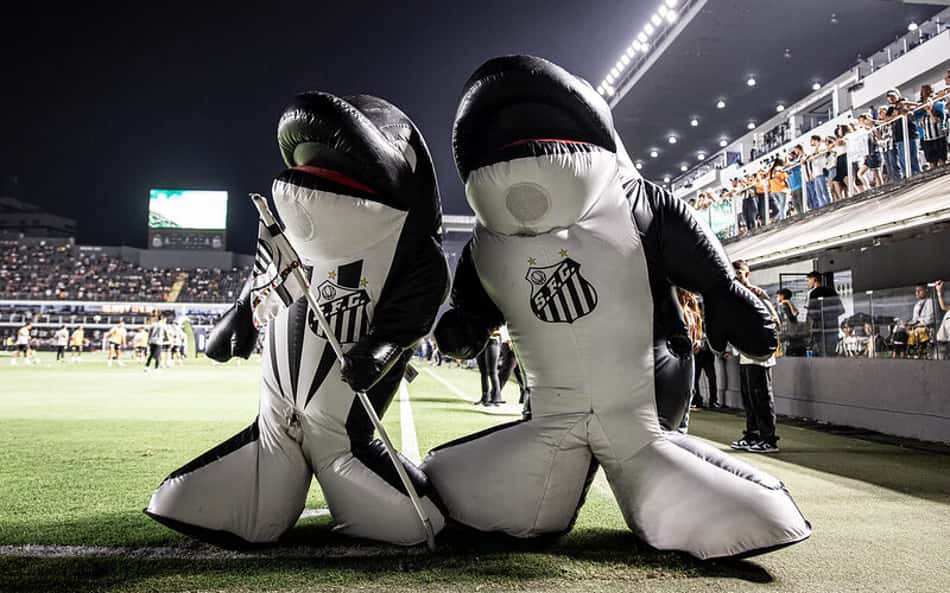 Conselho do Santos vai votar novo projeto da Vila Belmiro nesta quinta-feira, na reunião do Conselho Deliberativo. (Foto: Divulgação/ Santos FC)