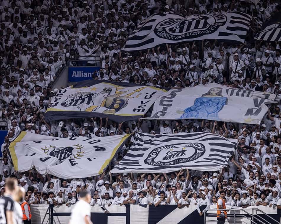 Torcida do Santos comparece ao Allianz Parque no primeiro jogo como mandante na capital paulista nesta temporada. (Foto: Raul Baretta/ Santos FC)