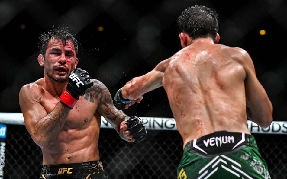 Alexandre Pantoja - UFC 301