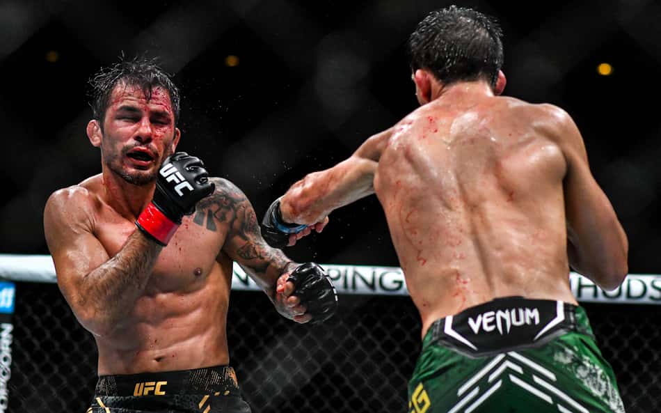 Alexandre Pantoja - UFC 301