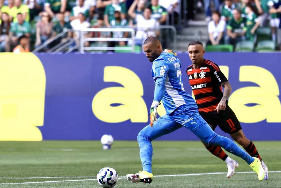 Flamengo e Palmeiras