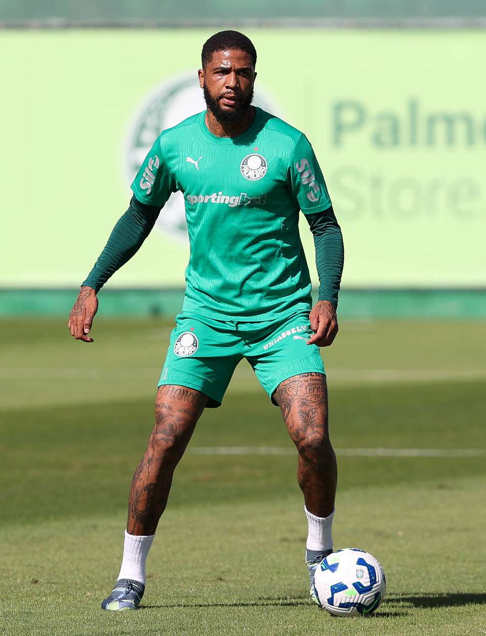 Micael, zagueiro do Palmeiras