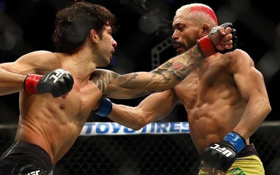 UFC Des Moines: Conheça os brasileiros que estão no card