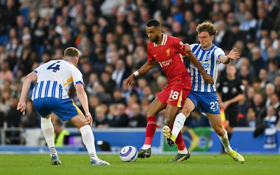 Gakpo - Brighton x Liverpool - Premier League