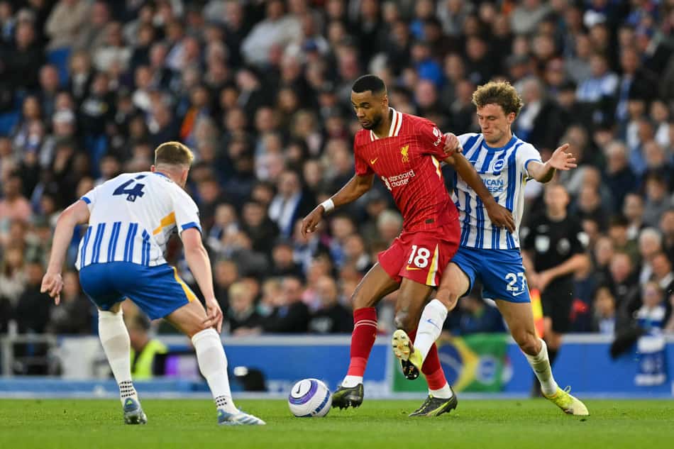 Gakpo - Brighton x Liverpool - Premier League