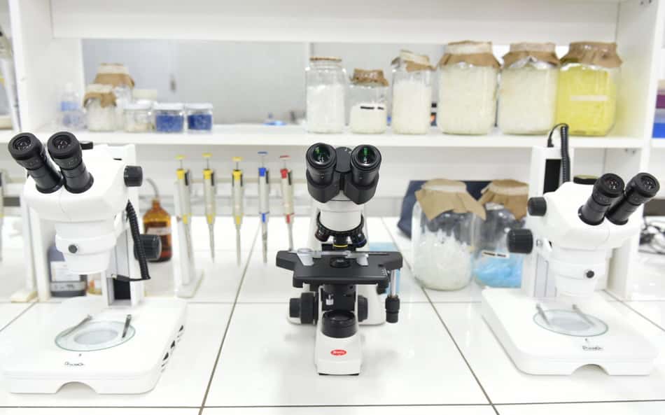 Mundial: Exames anti-doping terão participação de órgão dos Estados Unidos