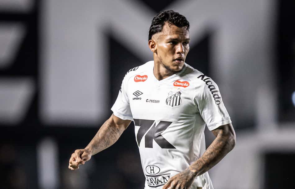 Gabriel Veron (Foto: Divulgação/ Santos)