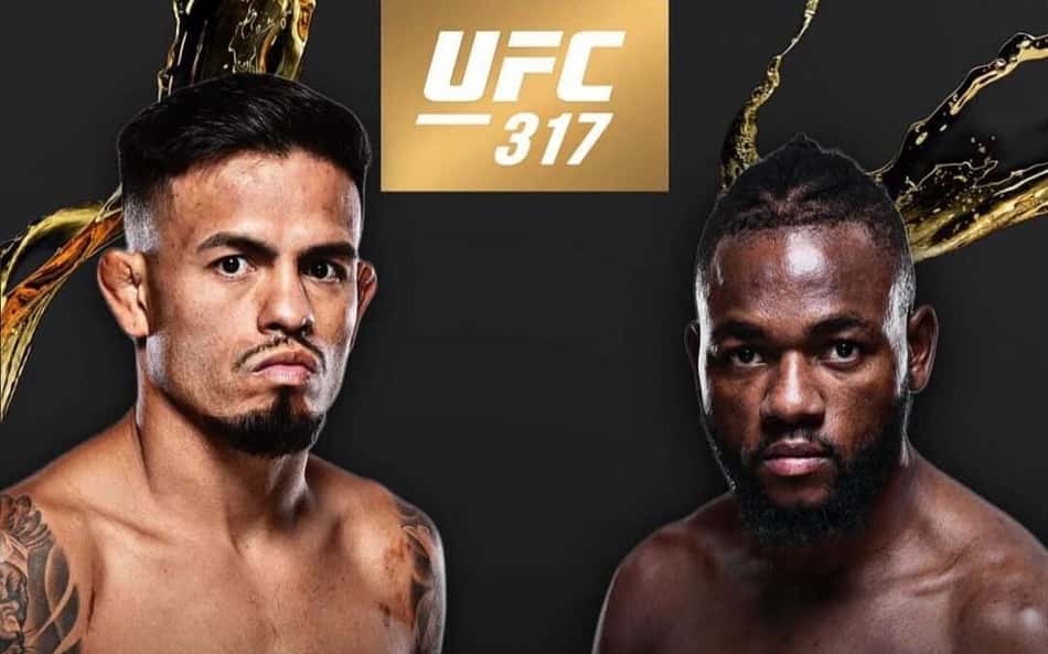 Joshua Van Manel Kape Brandon Royval UFC peso mosca UFC