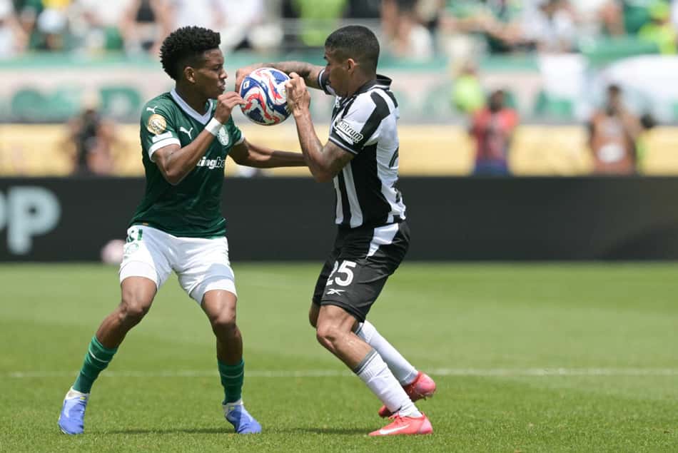 Estêvão, do Palmeiras, e Allan, do Botafogo, disputam bola durante partida pelo Mundial de Clubes (Foto: Franck Fife/AFP)