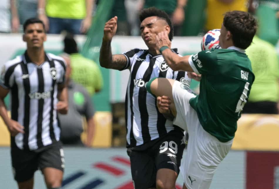 Botafogo x Palmeiras